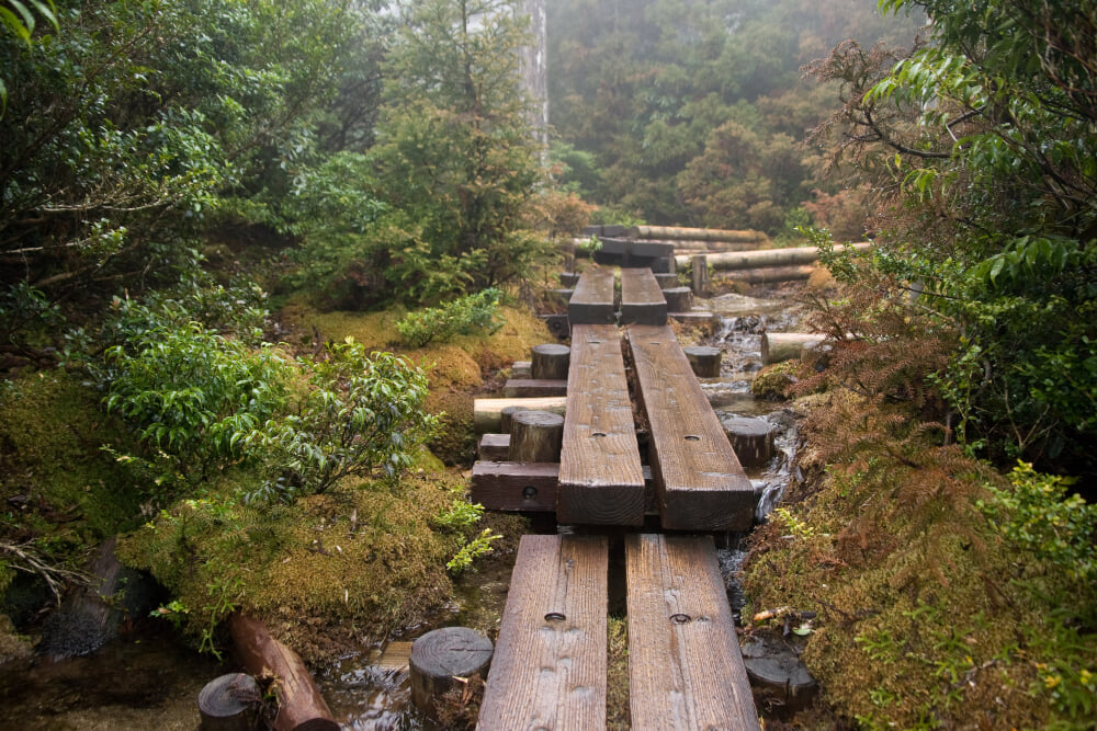 花之江河の写真1