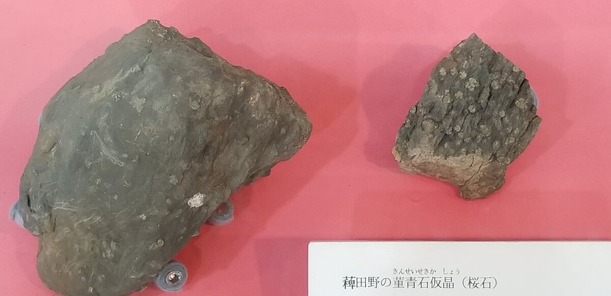 亀岡市文化資料館の写真2