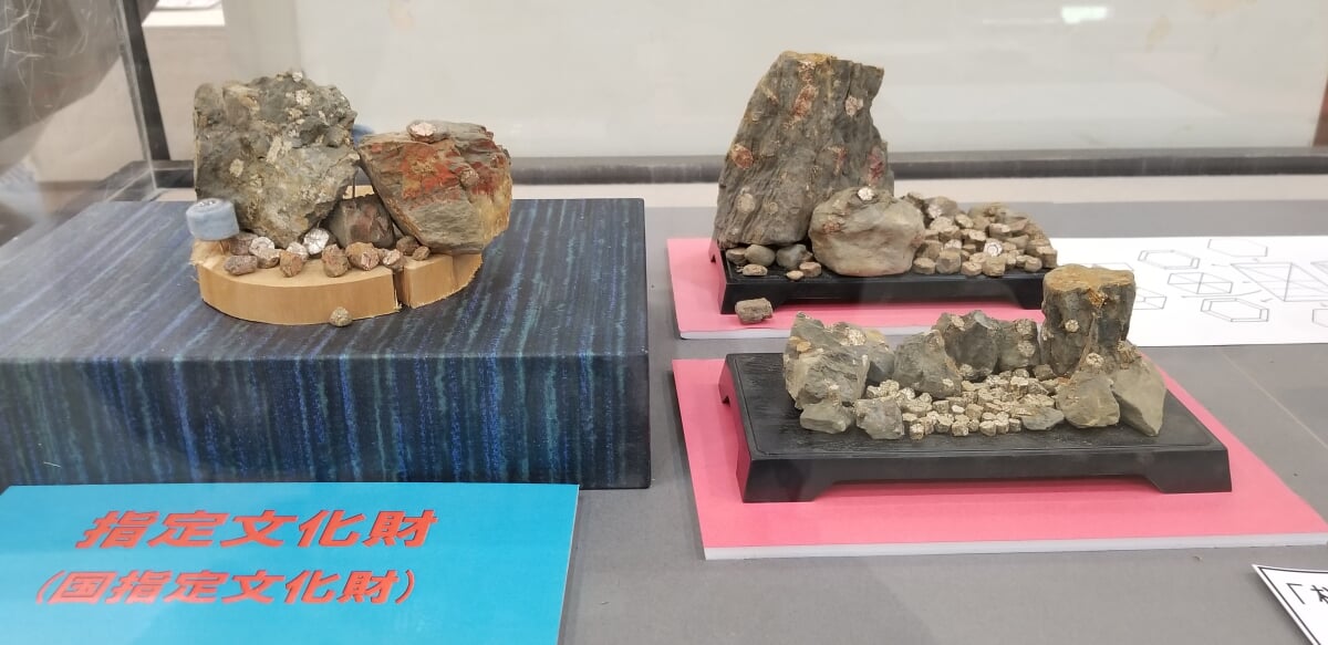 亀岡市文化資料館の写真3