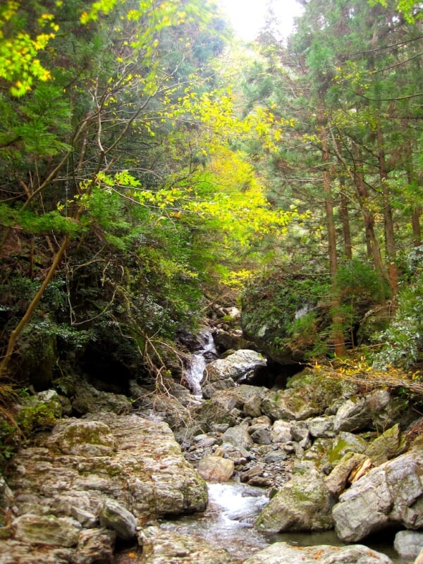 雨乞の滝の写真2