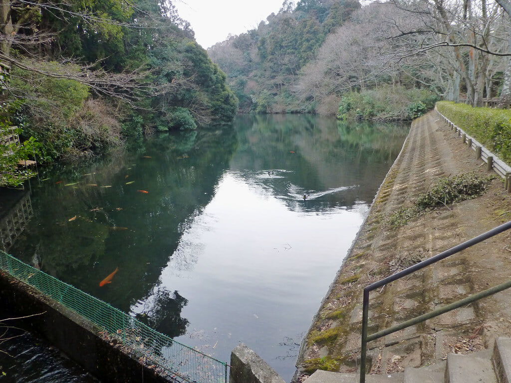 散在ガ池森林公園の写真2