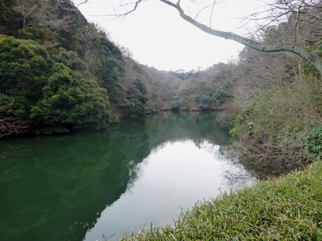 散在ガ池森林公園の写真3