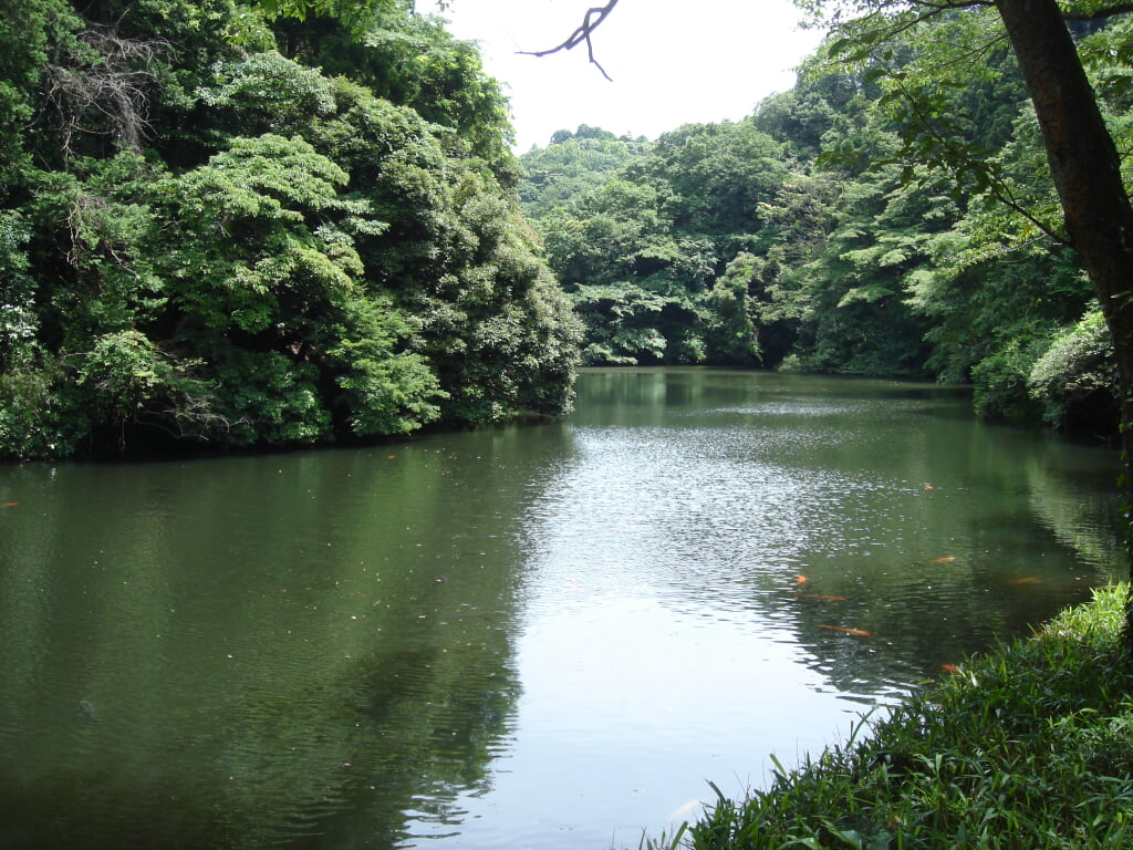 散在ガ池森林公園の写真4