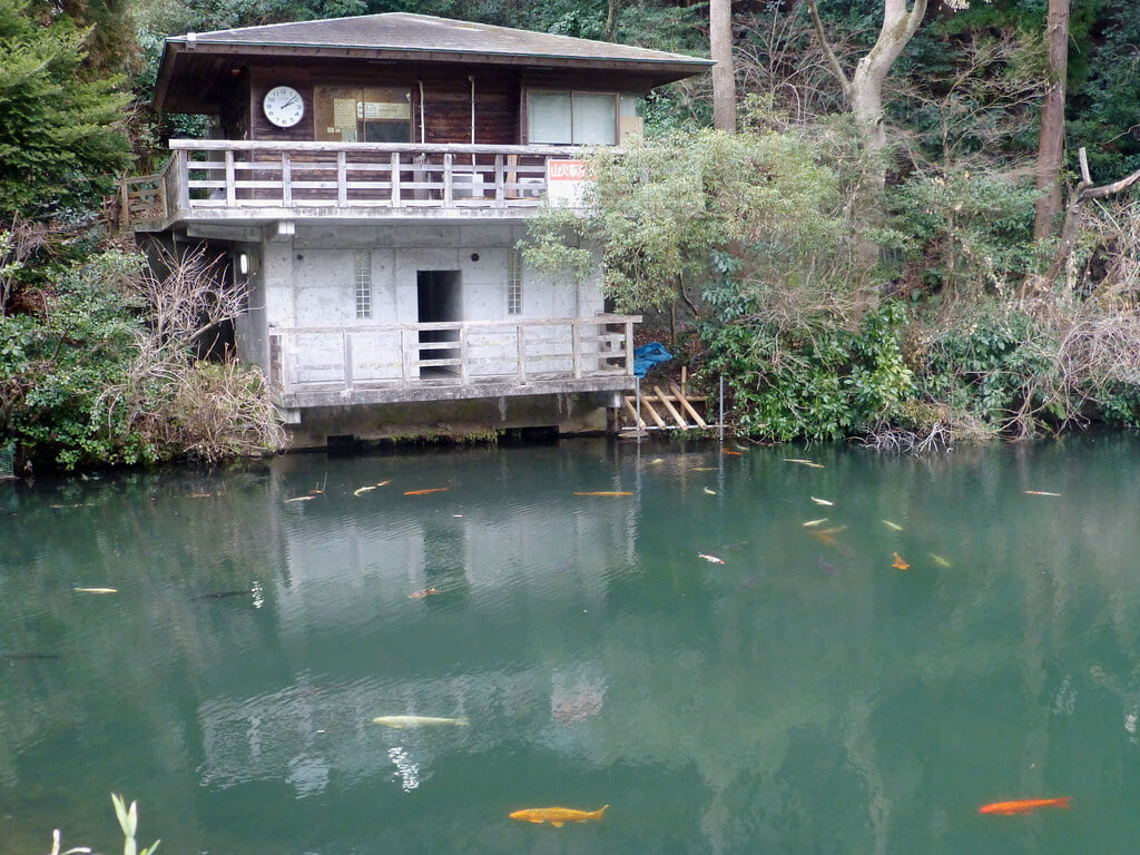 散在ガ池森林公園の写真6