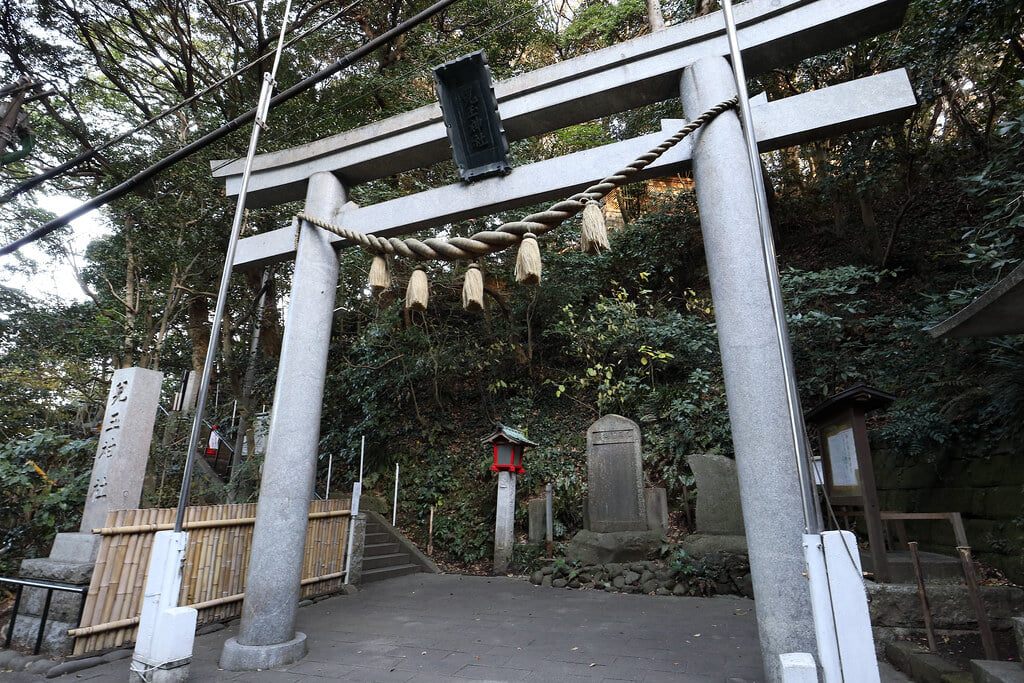 児玉神社の写真3