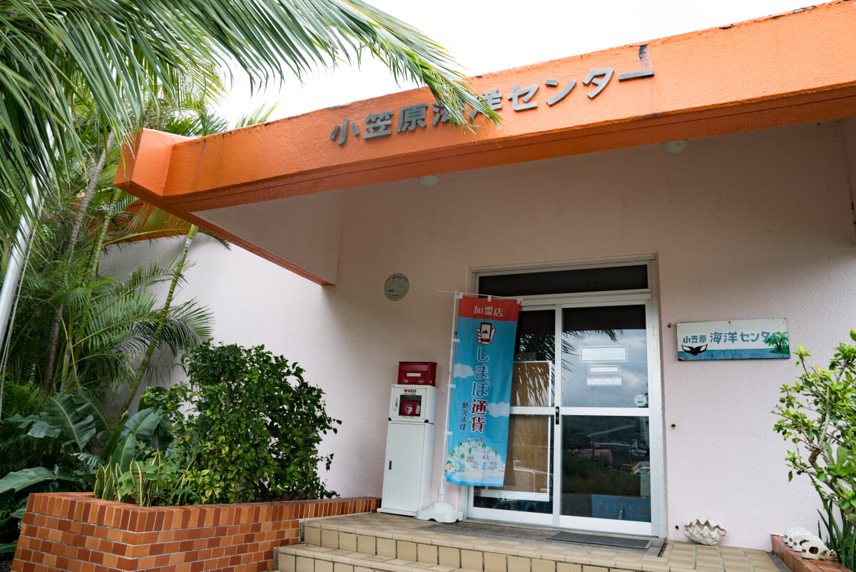 小笠原海洋センターの写真1