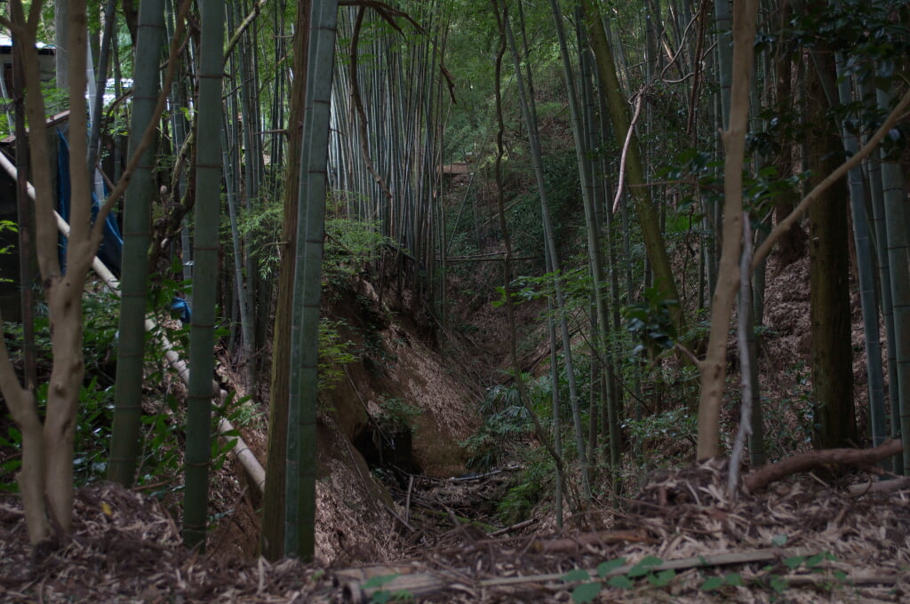 八王子城跡の写真2