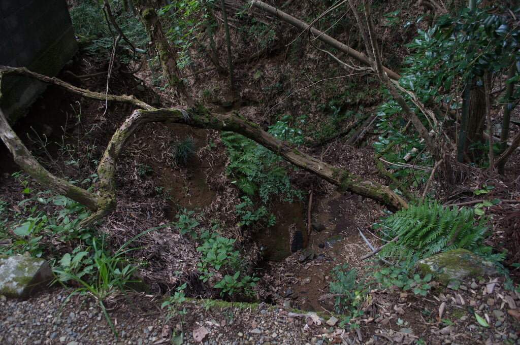 八王子城跡の写真3