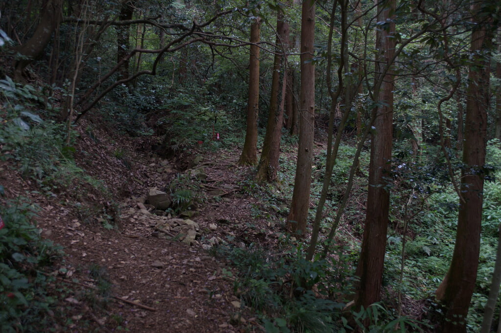 八王子城跡の写真4