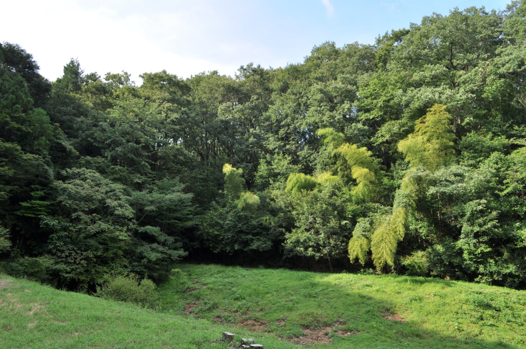 八王子城跡の写真6