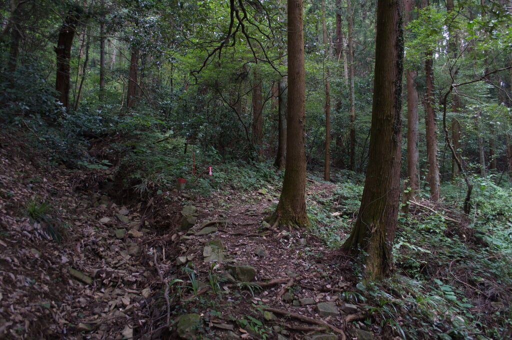 八王子城跡の写真9