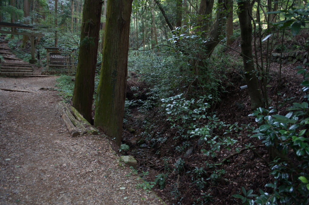 八王子城跡の写真12