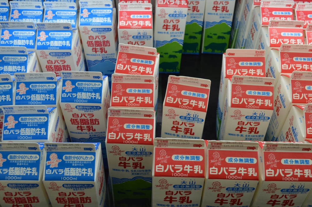 大山乳業 工場見学の写真1