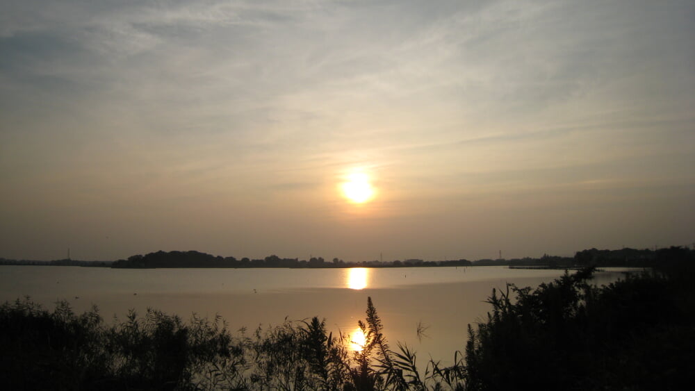 多々良沼の写真2