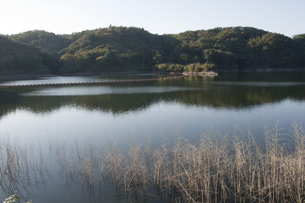 御前山ダムの写真3