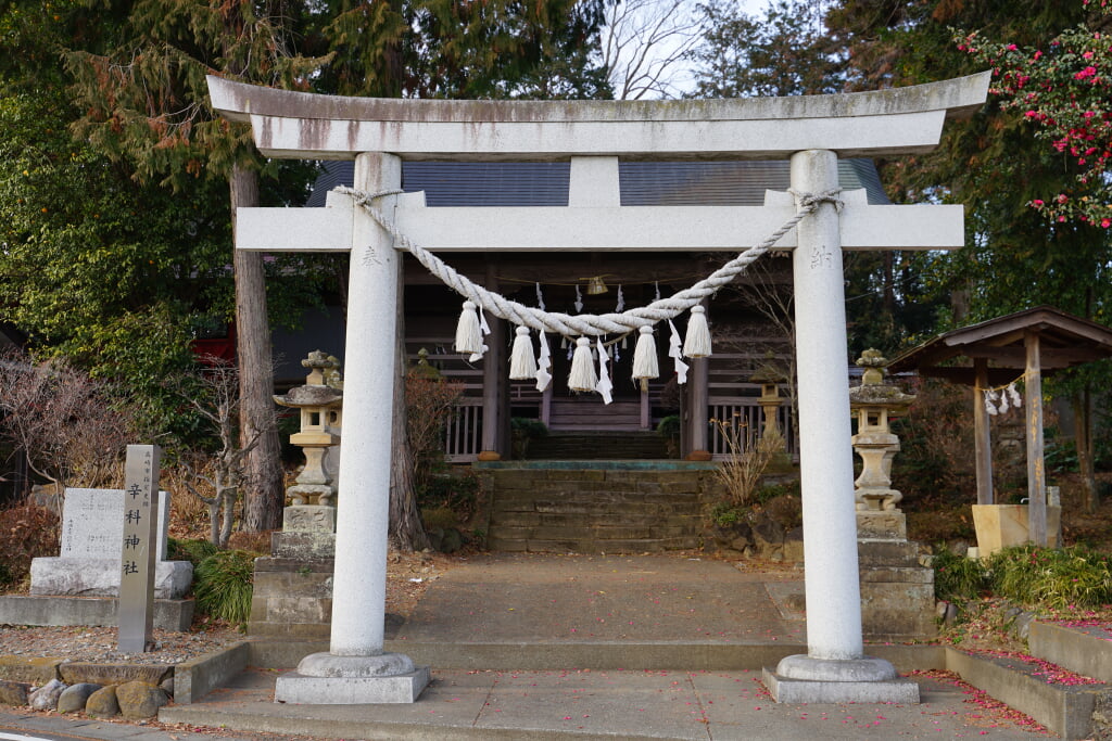 辛科神社の写真3