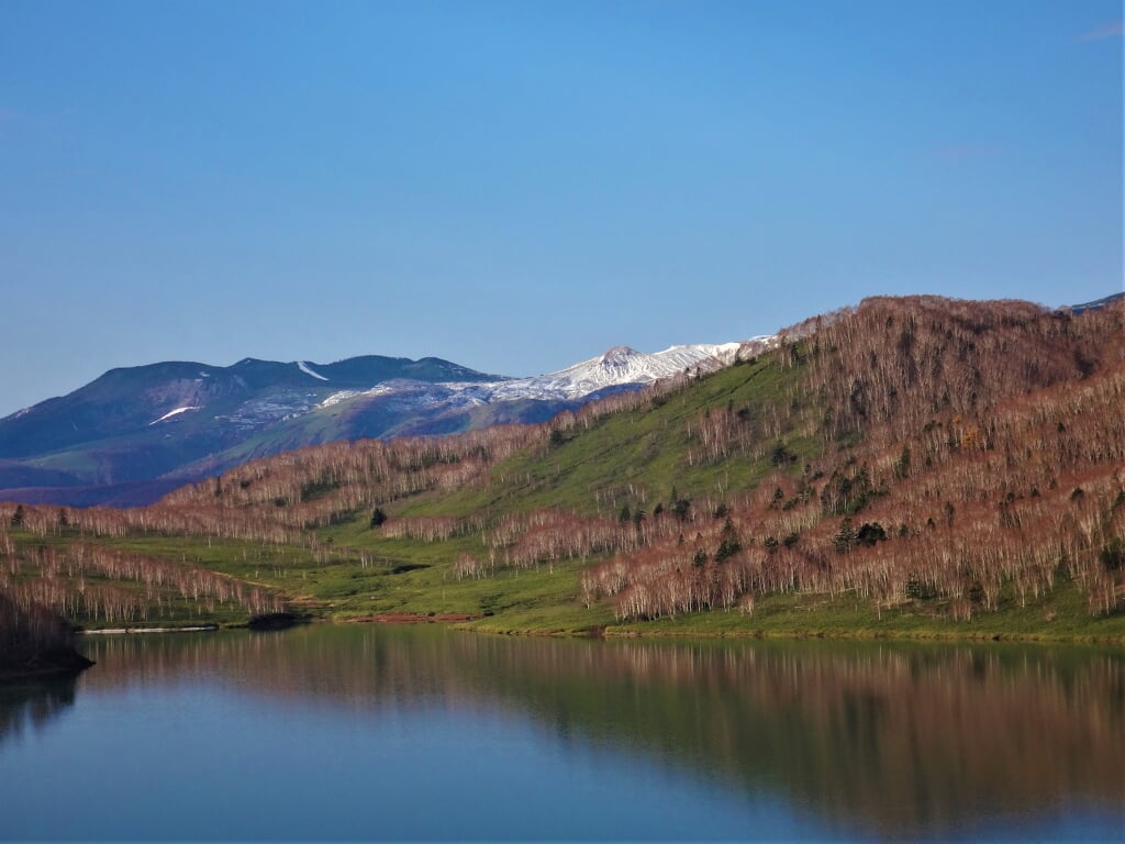野反湖の写真1