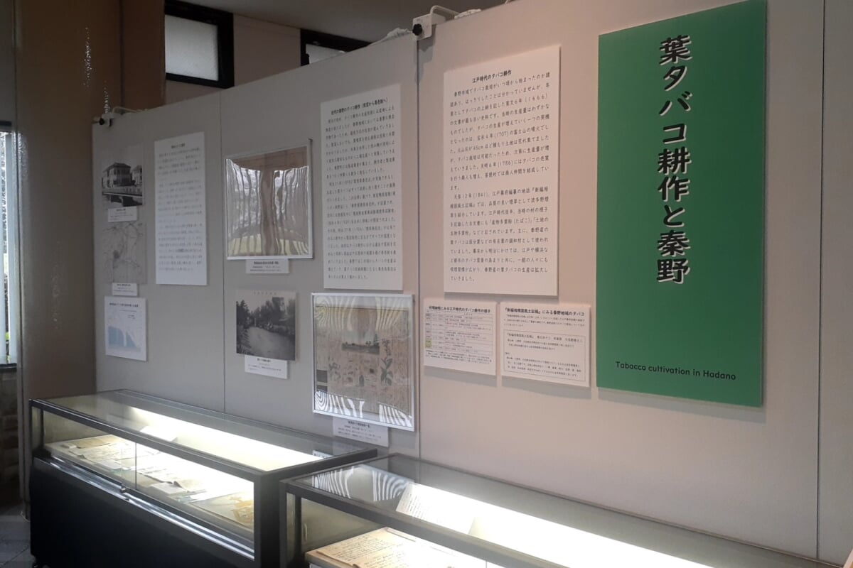 はだの歴史博物館(旧:桜土手古墳展示館)の写真7