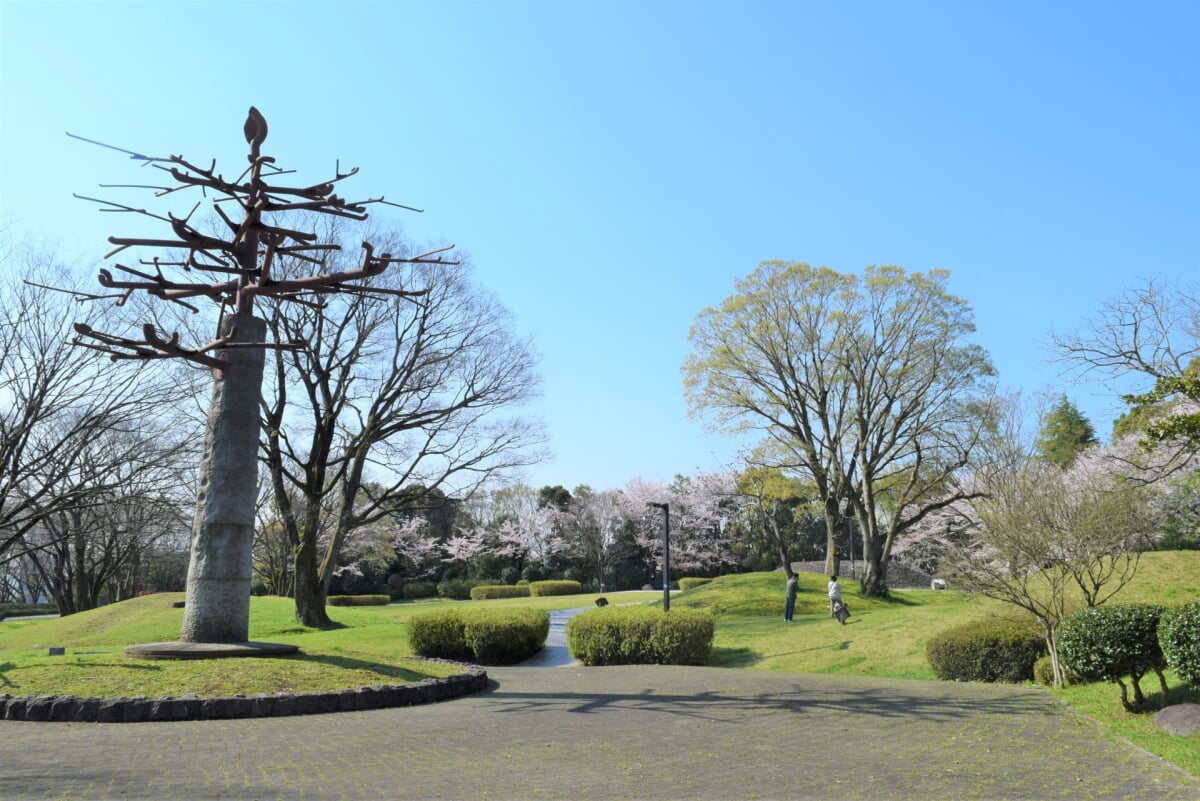 はだの歴史博物館(旧:桜土手古墳展示館)の写真10