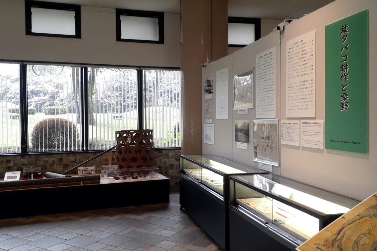 はだの歴史博物館(旧:桜土手古墳展示館)の写真14