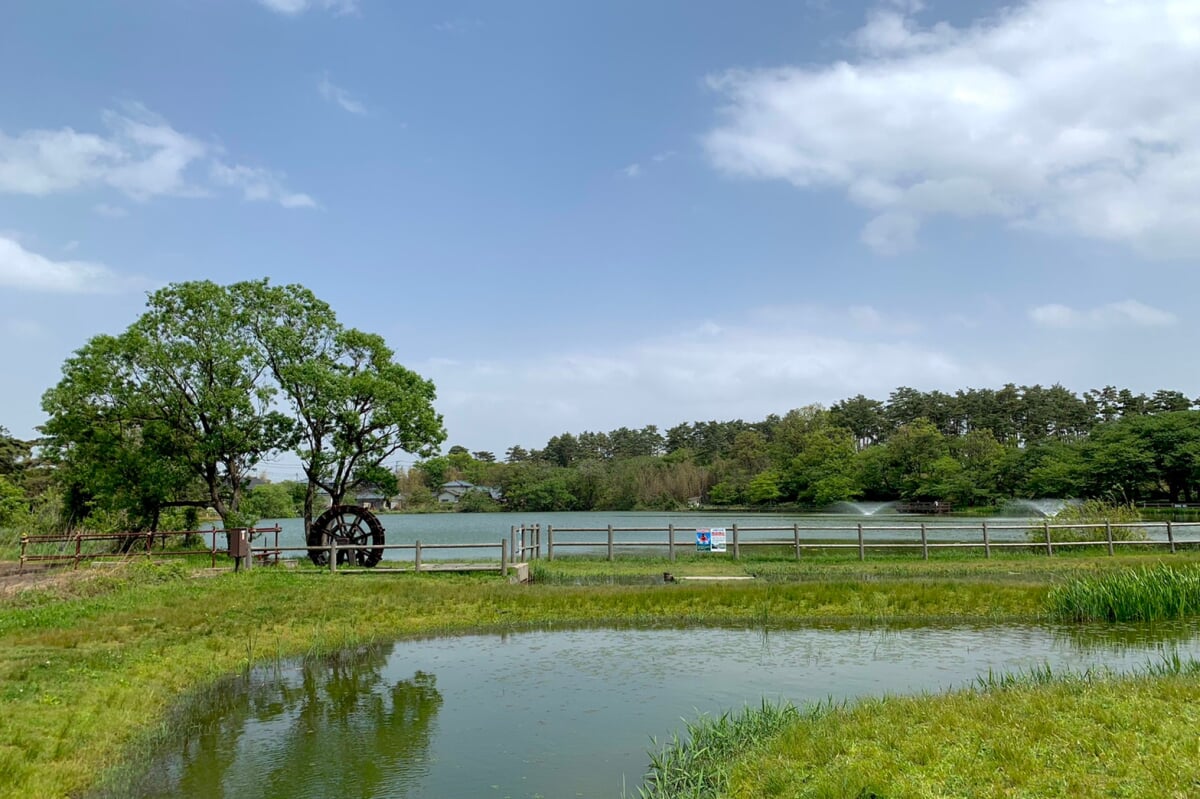 弁天潟風致公園の写真1