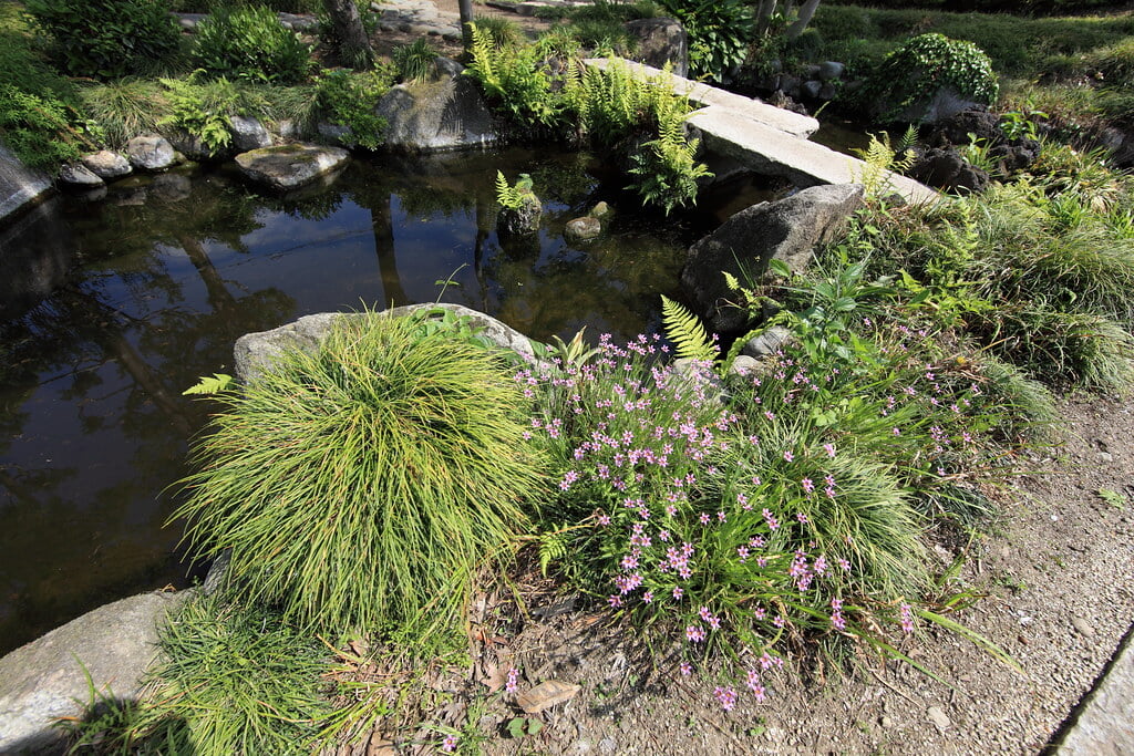 岡部記念館の写真5