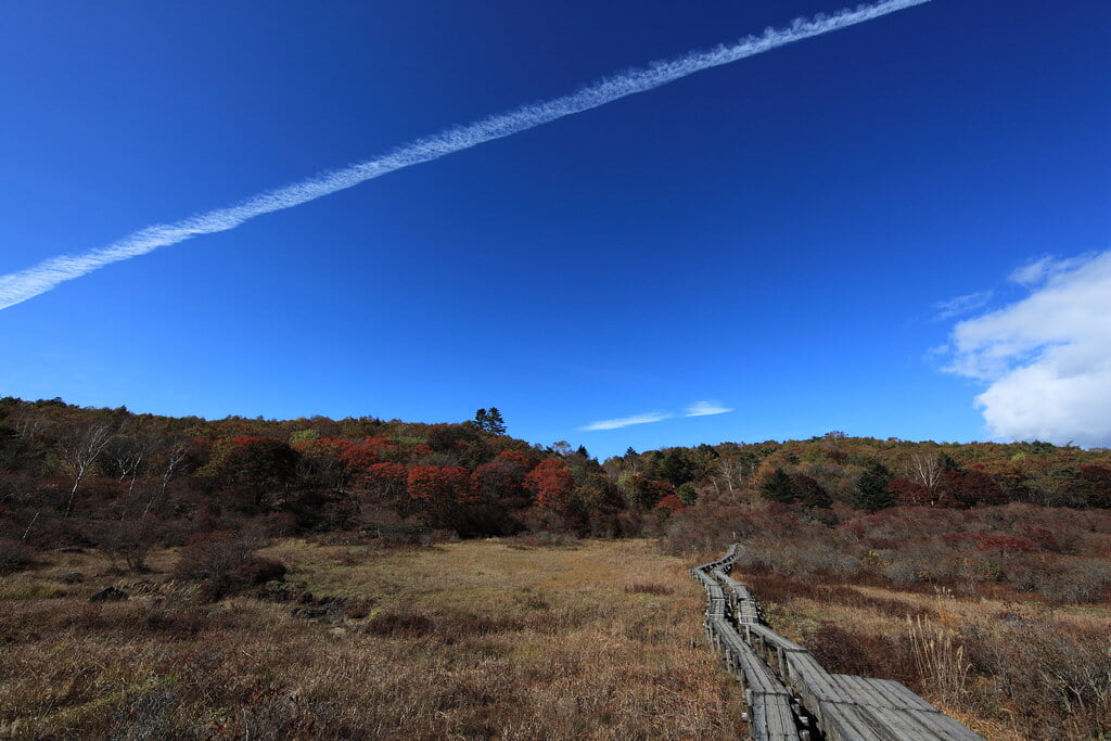 井戸湿原の写真1