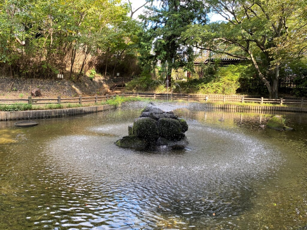 与野公園の写真3