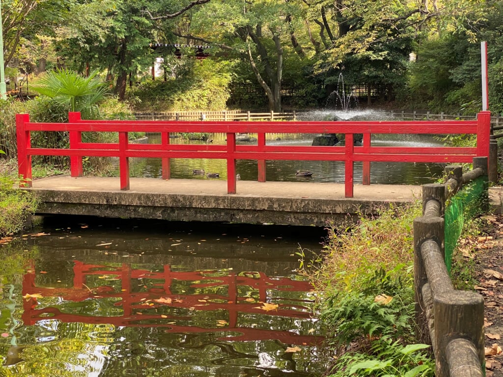 与野公園の写真6