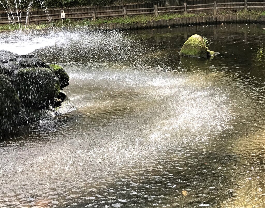 与野公園の写真7