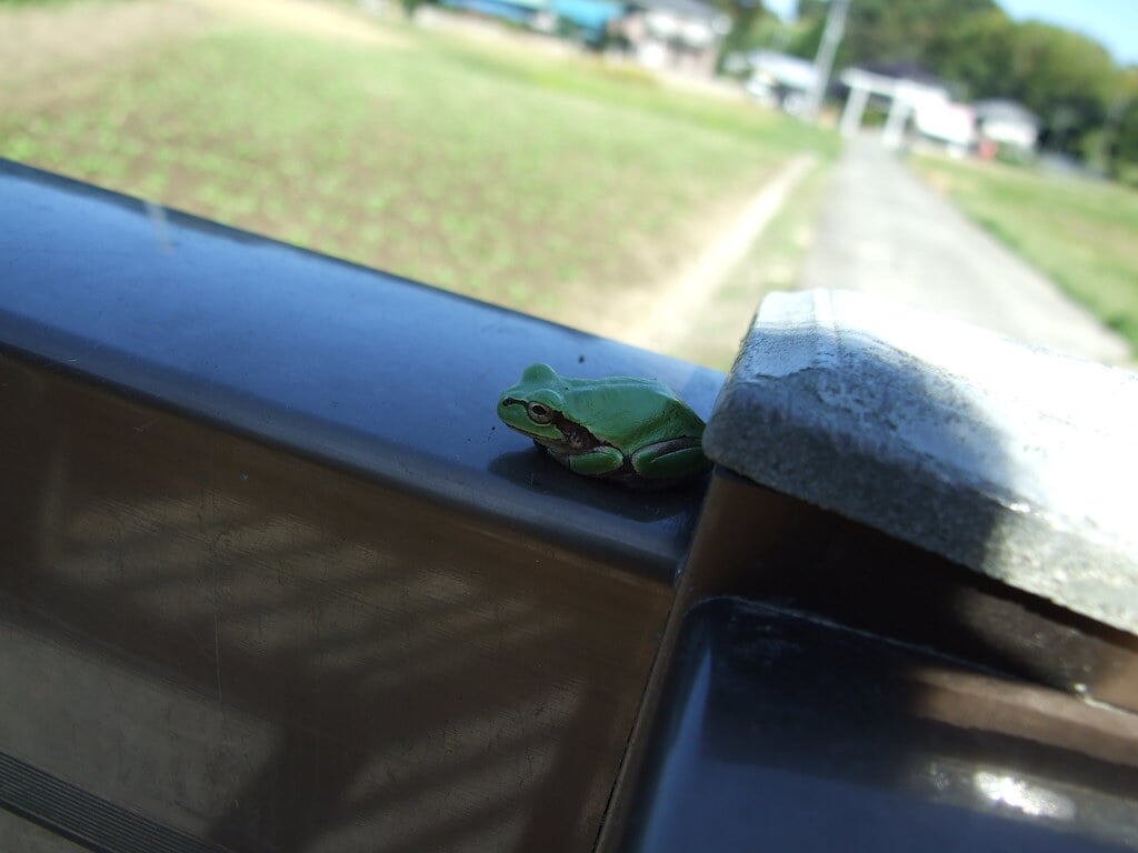 賀茂神社の写真4