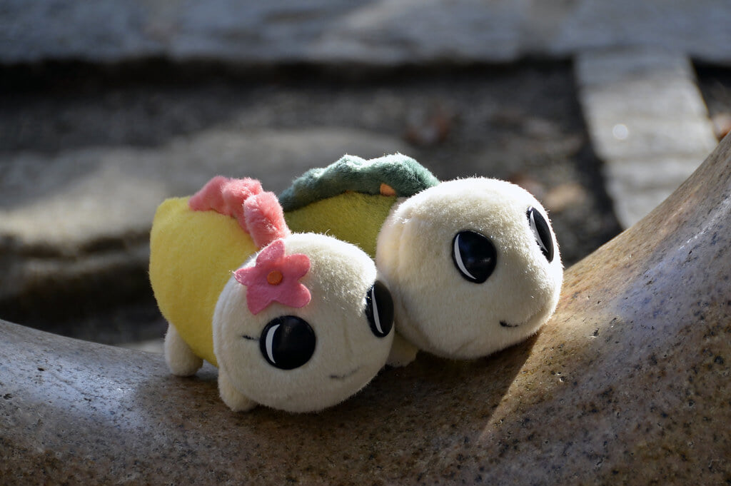 高円寺中央公園の写真2