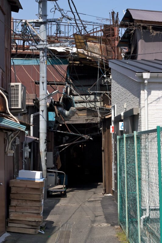 旦過市場の写真4