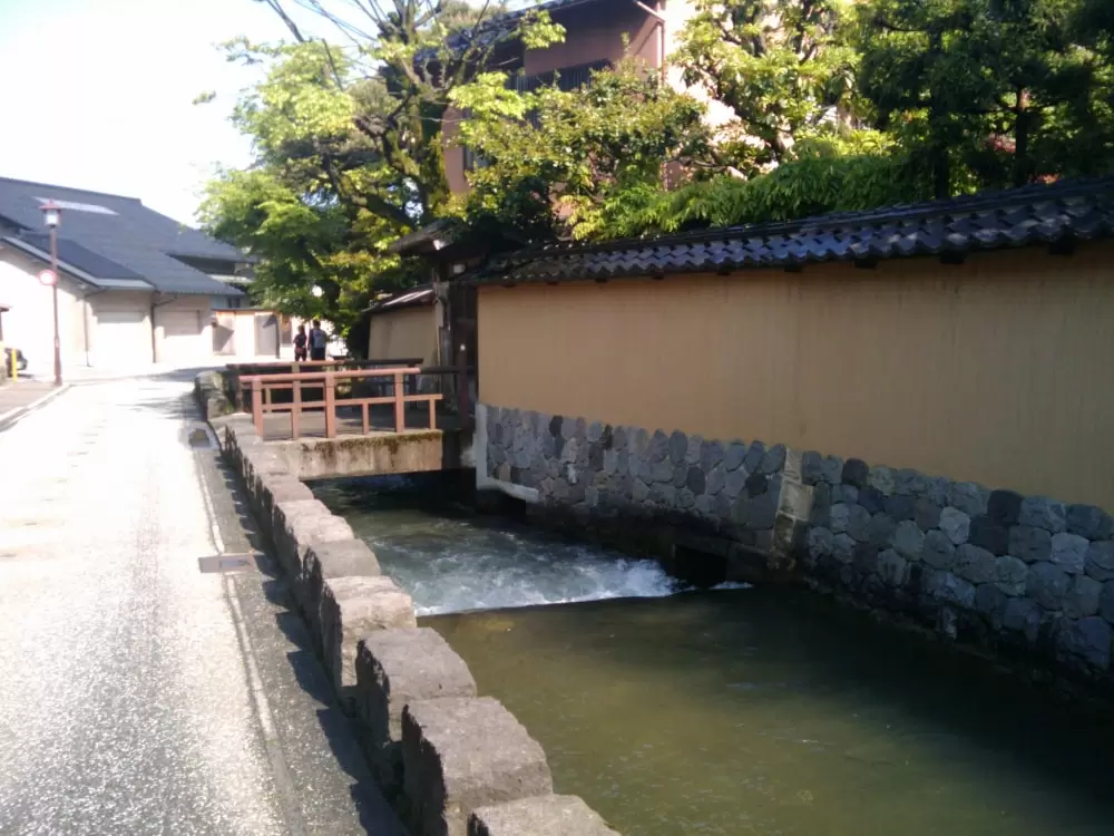 大野庄用水の写真1