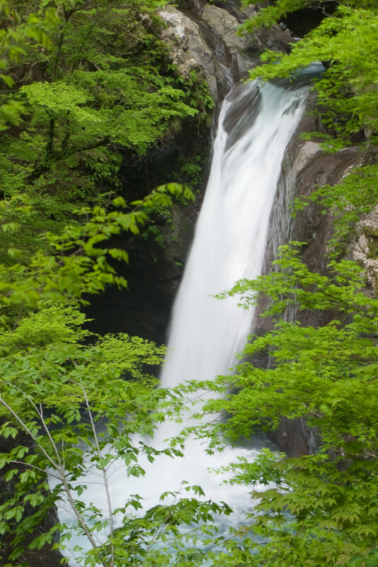 大釜の滝の写真4