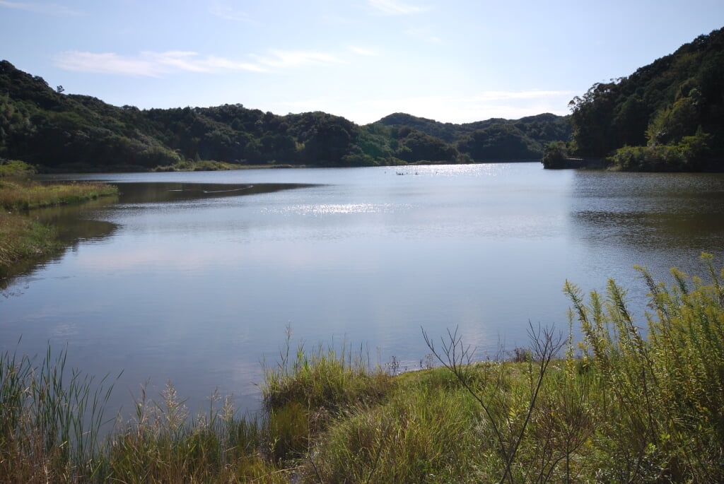 海老ヶ池の写真2