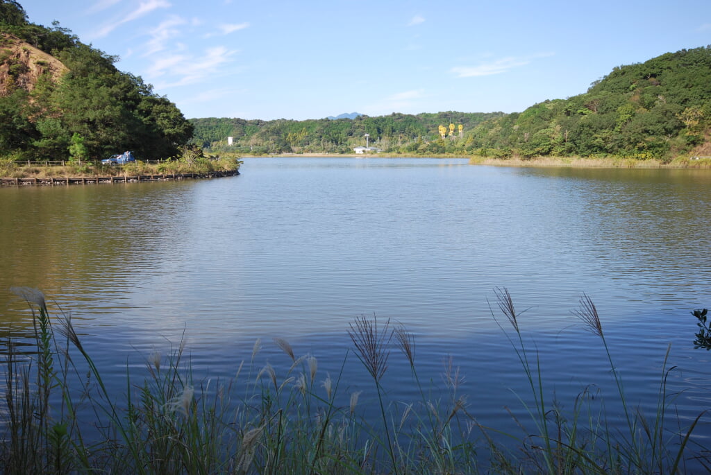 海老ヶ池の写真3