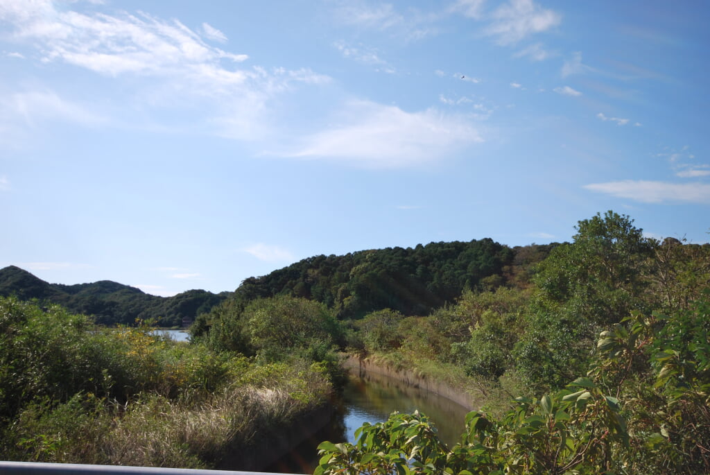 海老ヶ池の写真4