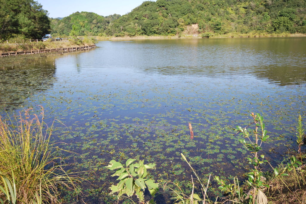 海老ヶ池の写真5