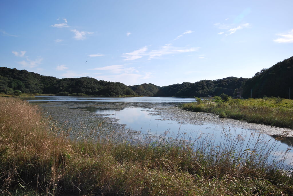 海老ヶ池の写真6