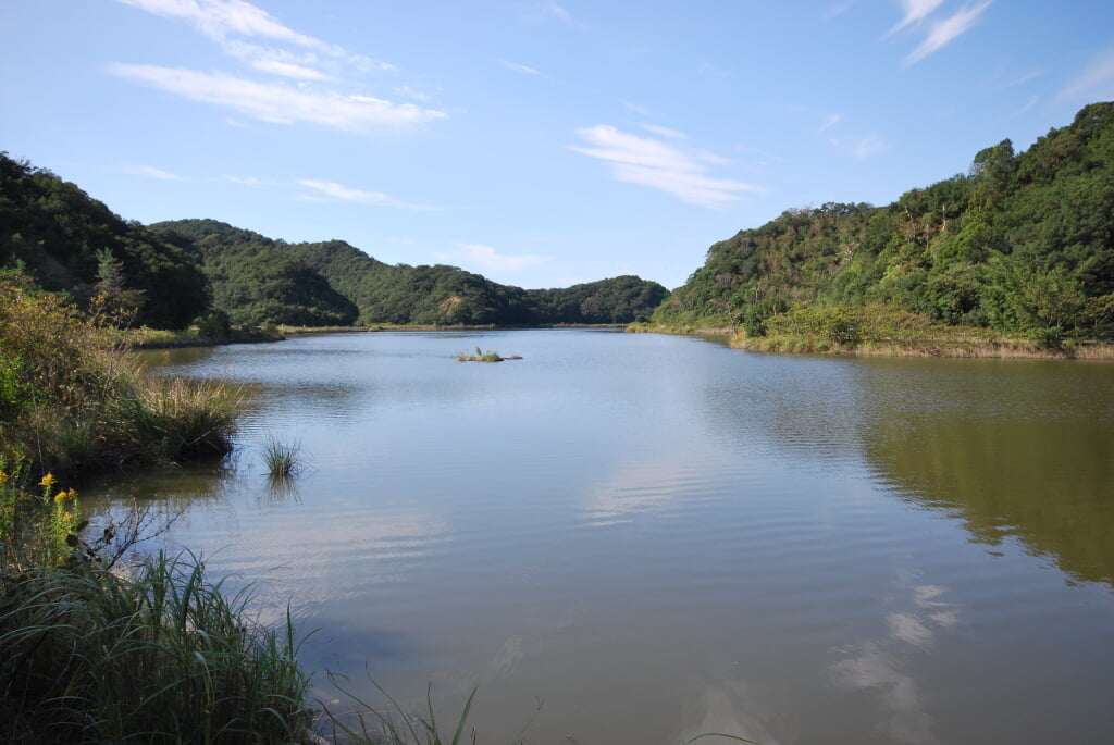 海老ヶ池の写真1