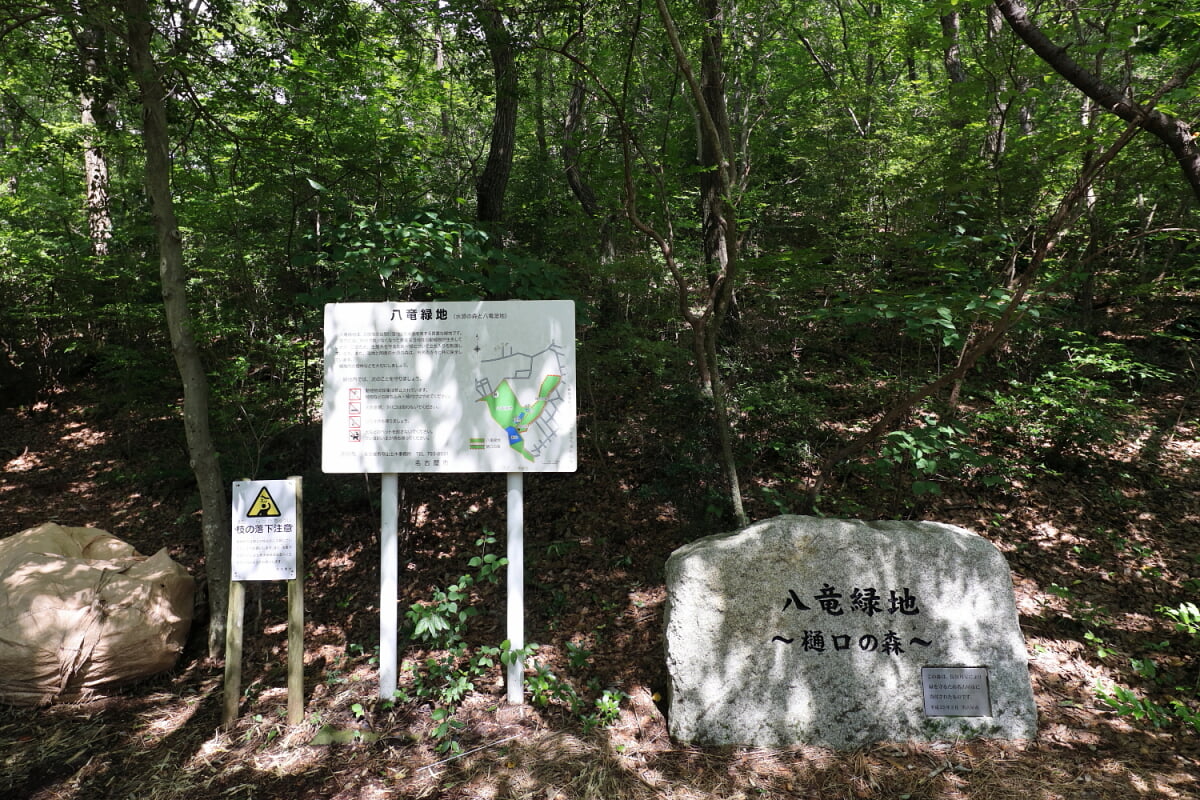 八竜緑地の写真2