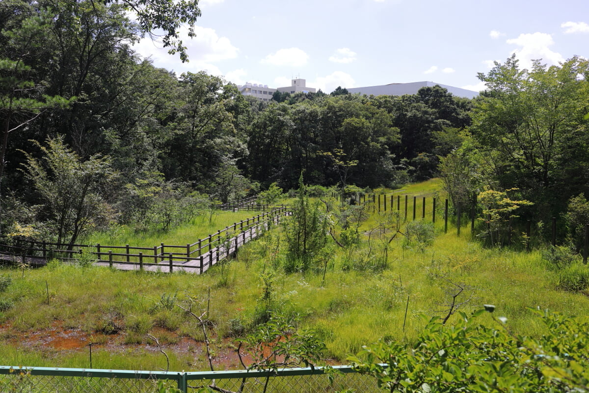 八竜緑地の写真1