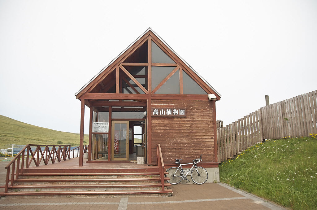 礼文町 高山植物園の写真1