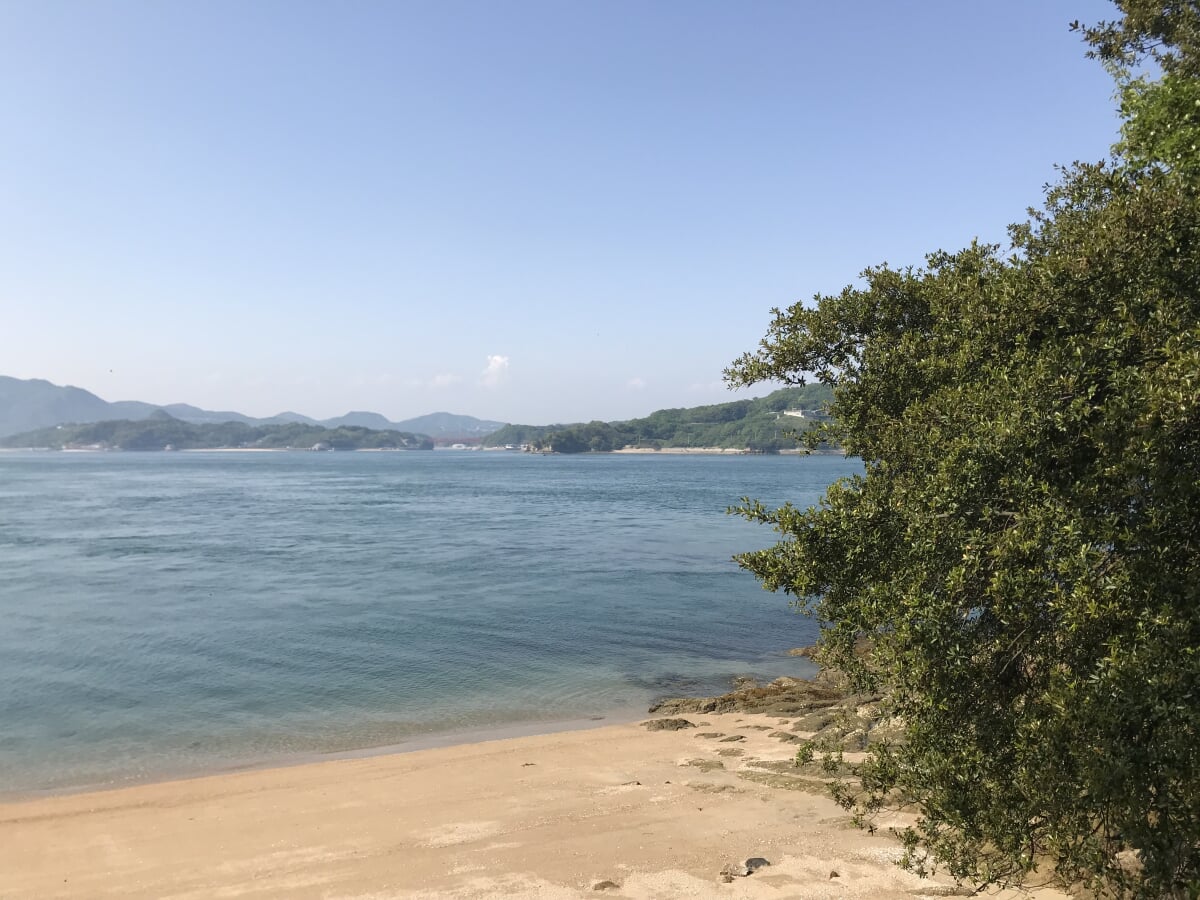 大浜埼灯台の写真12