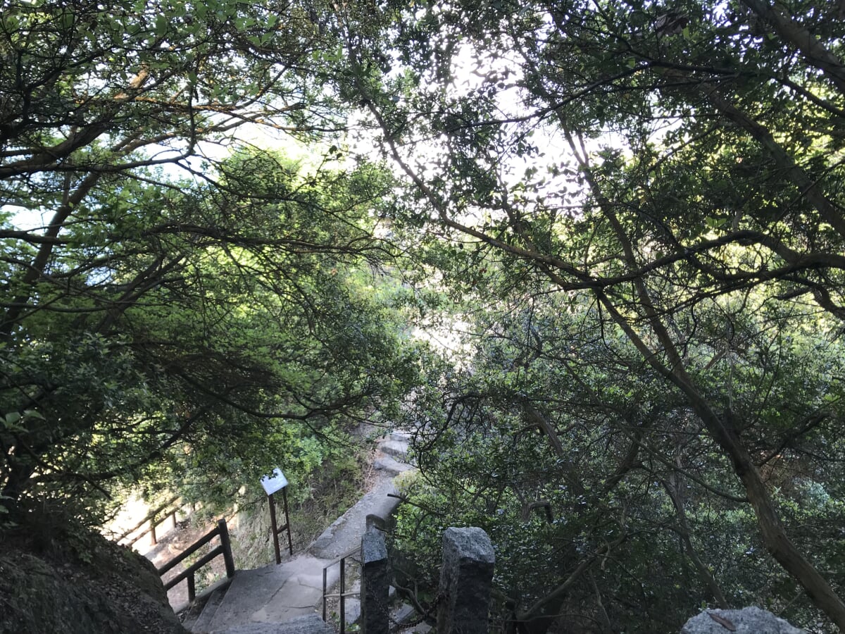 大浜埼灯台の写真13