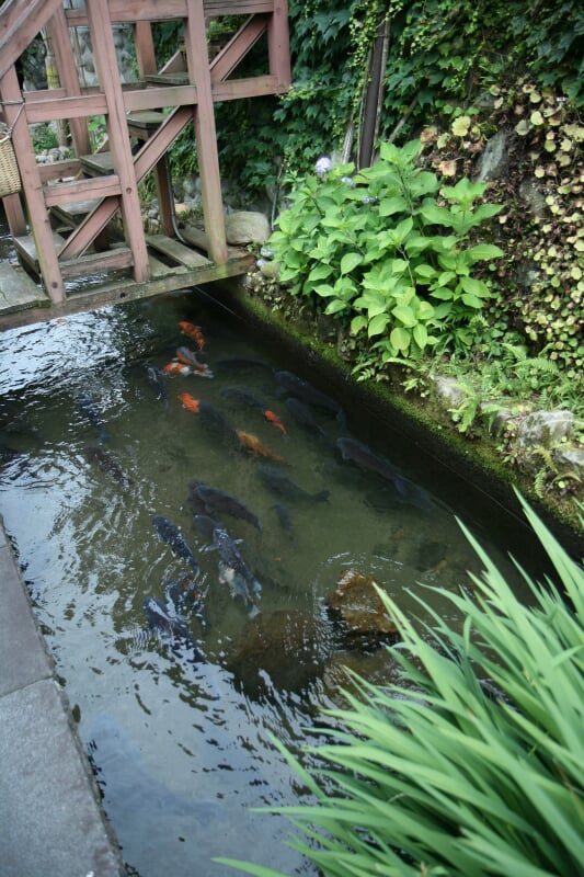 いがわこみちの写真3