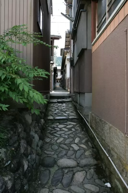 いがわこみちの写真1