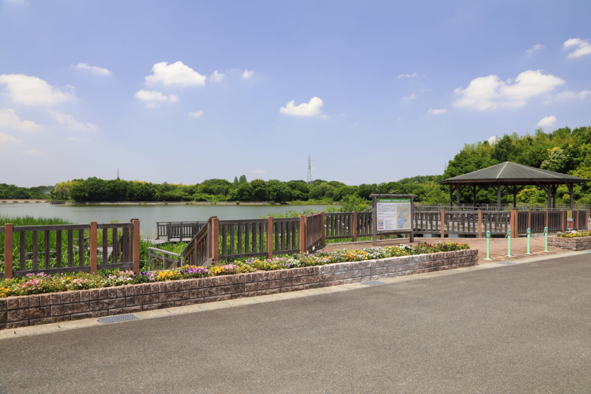 勅使水辺公園の写真2