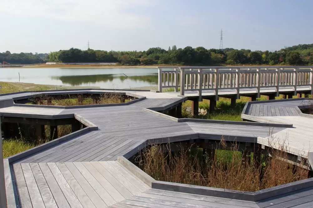 勅使水辺公園の写真1